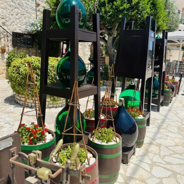 a group of vases and plants in pots